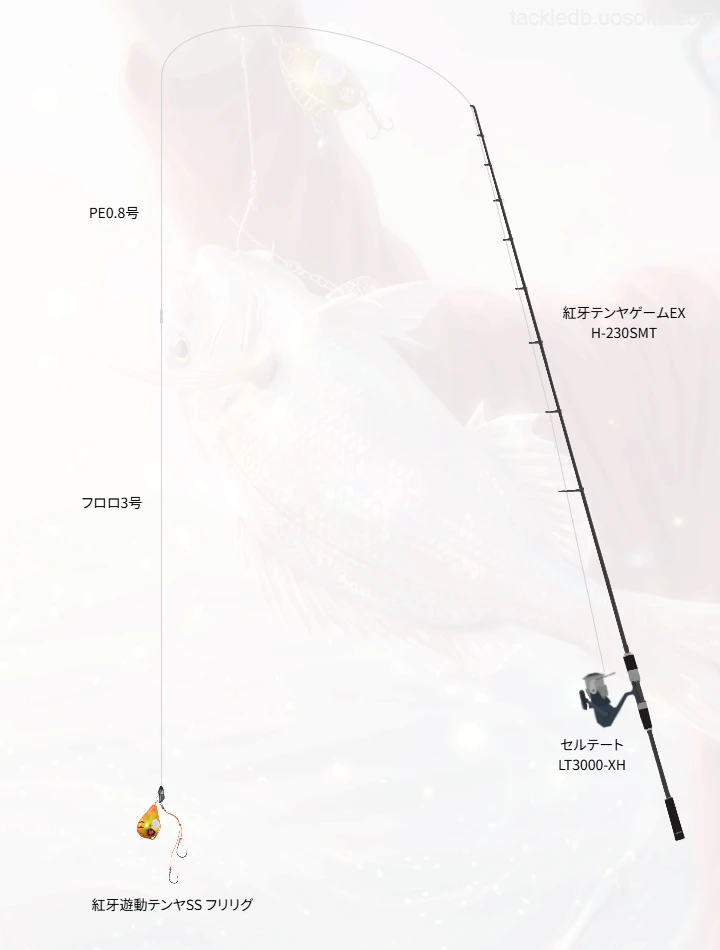 一つテンヤマダイに関するタックル、仕掛け図解