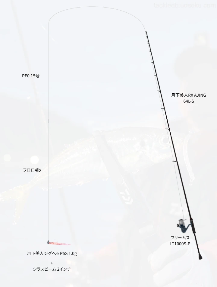アジングに関するタックル、仕掛け図解