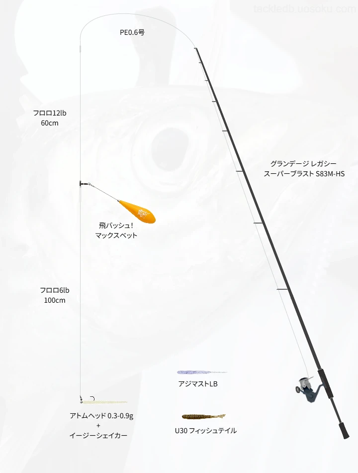 アジングに関するタックル、仕掛け図解