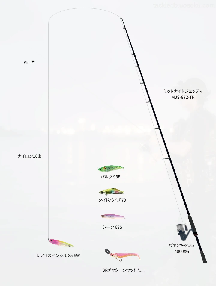 ショアシーバスに関するタックル、仕掛け図解