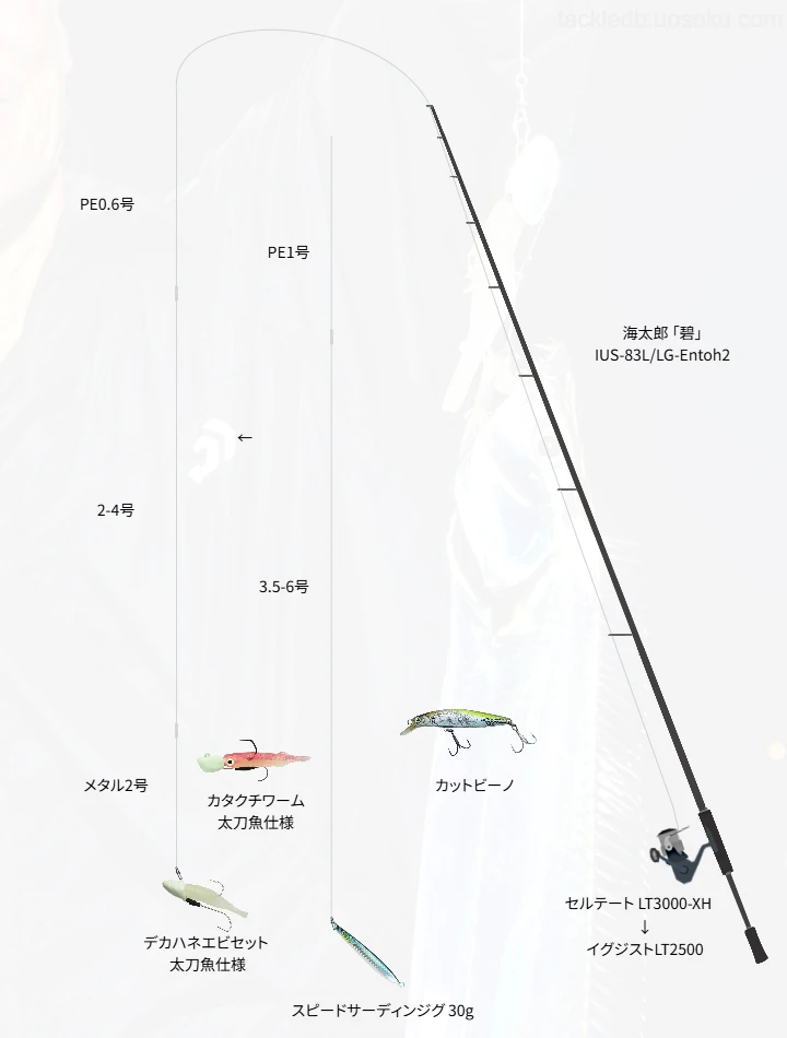 ソルトルアーに関するタックル、仕掛け図解