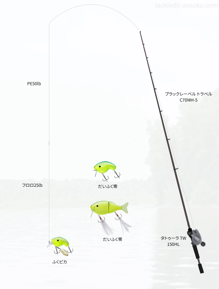 バス釣りに関するタックル、仕掛け図解