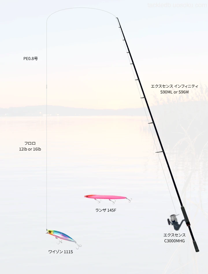 ショアシーバスに関するタックル、仕掛け図解