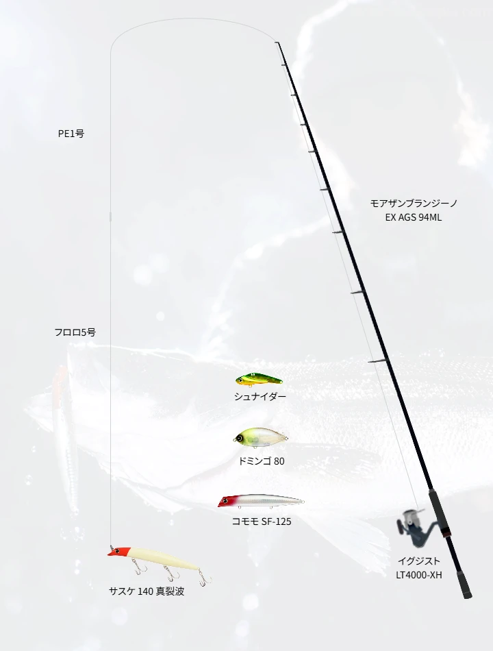 ショアシーバスに関するタックル、仕掛け図解