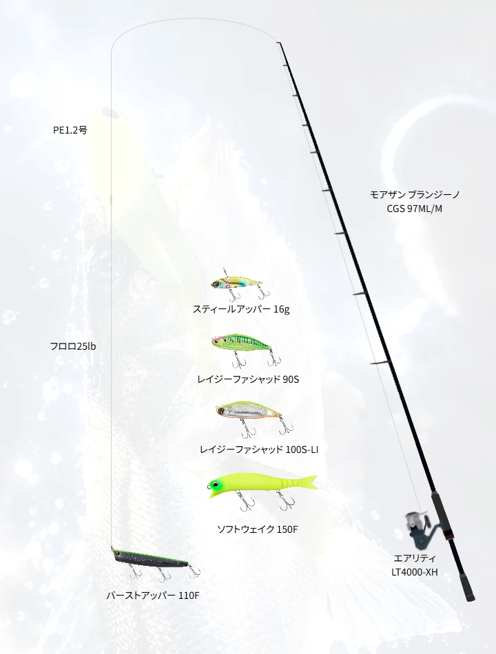 ショアシーバスに関するタックル、仕掛け図解