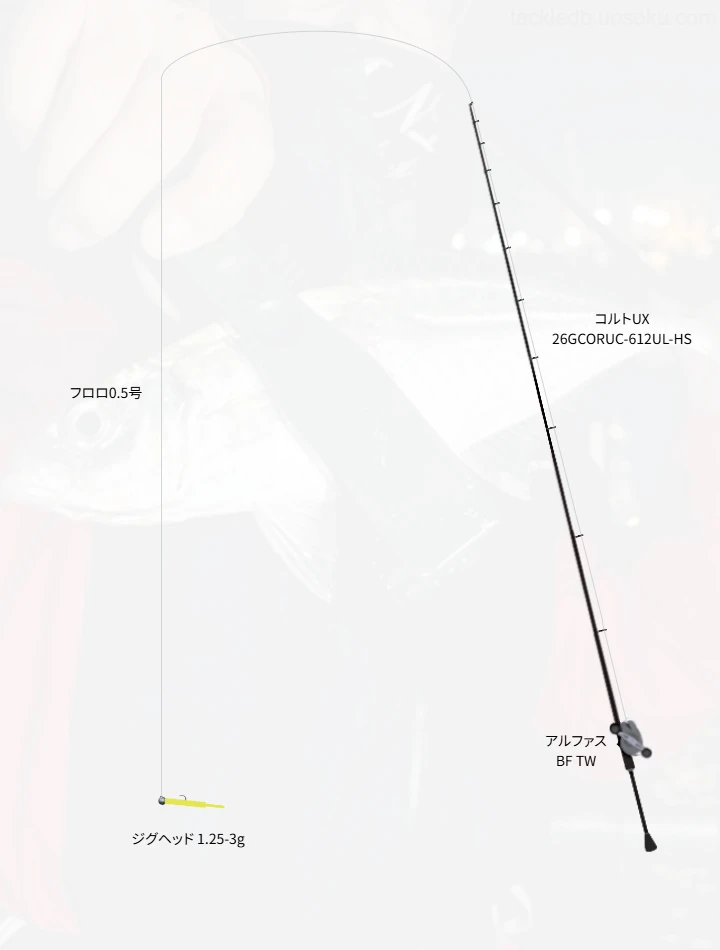 アジングに関するタックル、仕掛け図解