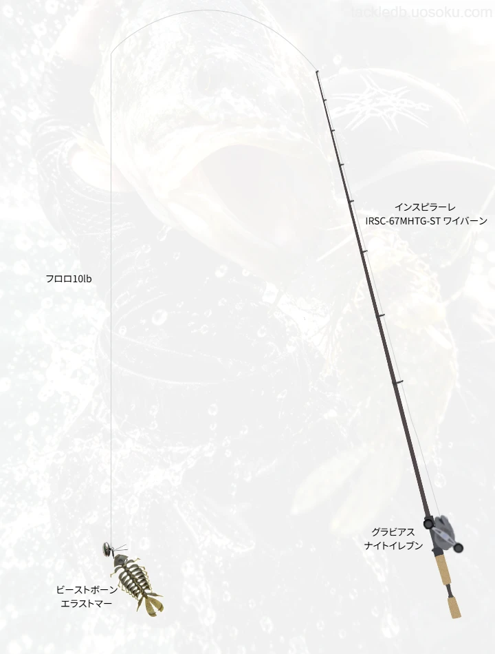 バス釣りに関するタックル、仕掛け図解