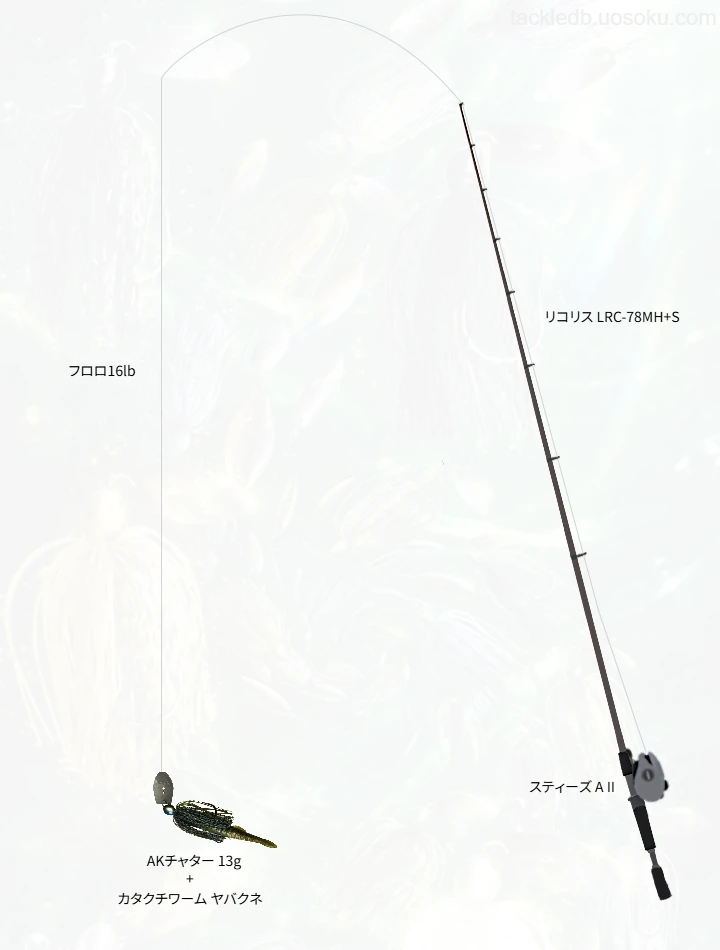 バス釣りに関するタックル、仕掛け図解