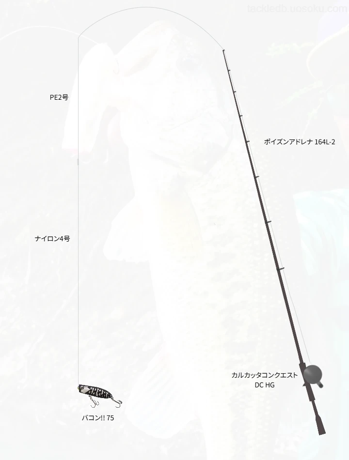 バス釣りに関するタックル、仕掛け図解