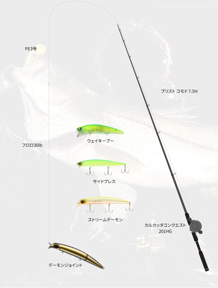ショアシーバスに関するタックル、仕掛け図解