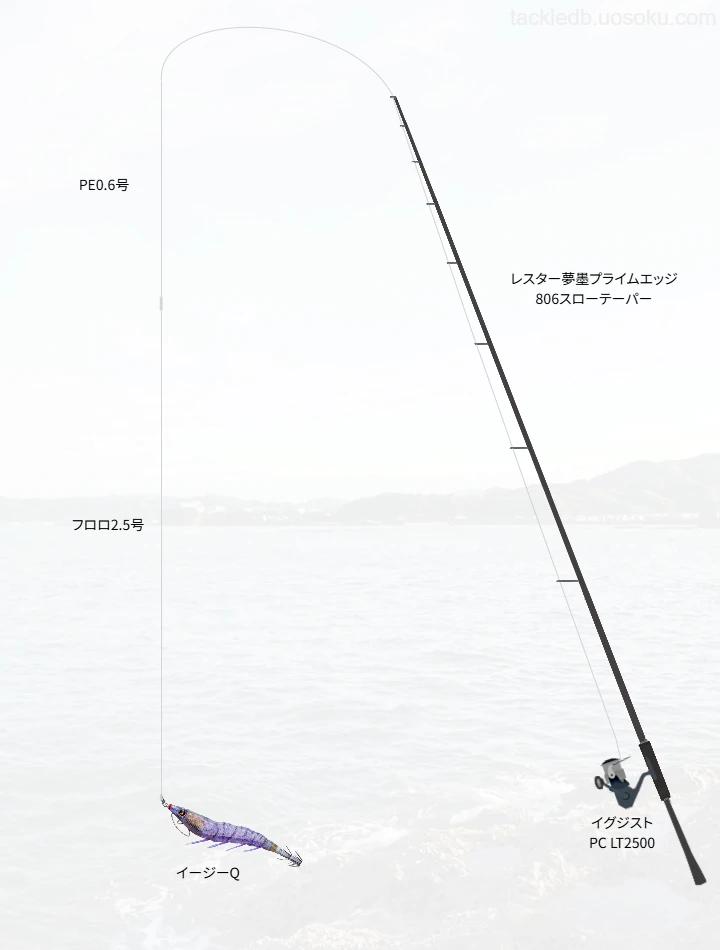 エギングに関するタックル、仕掛け図解