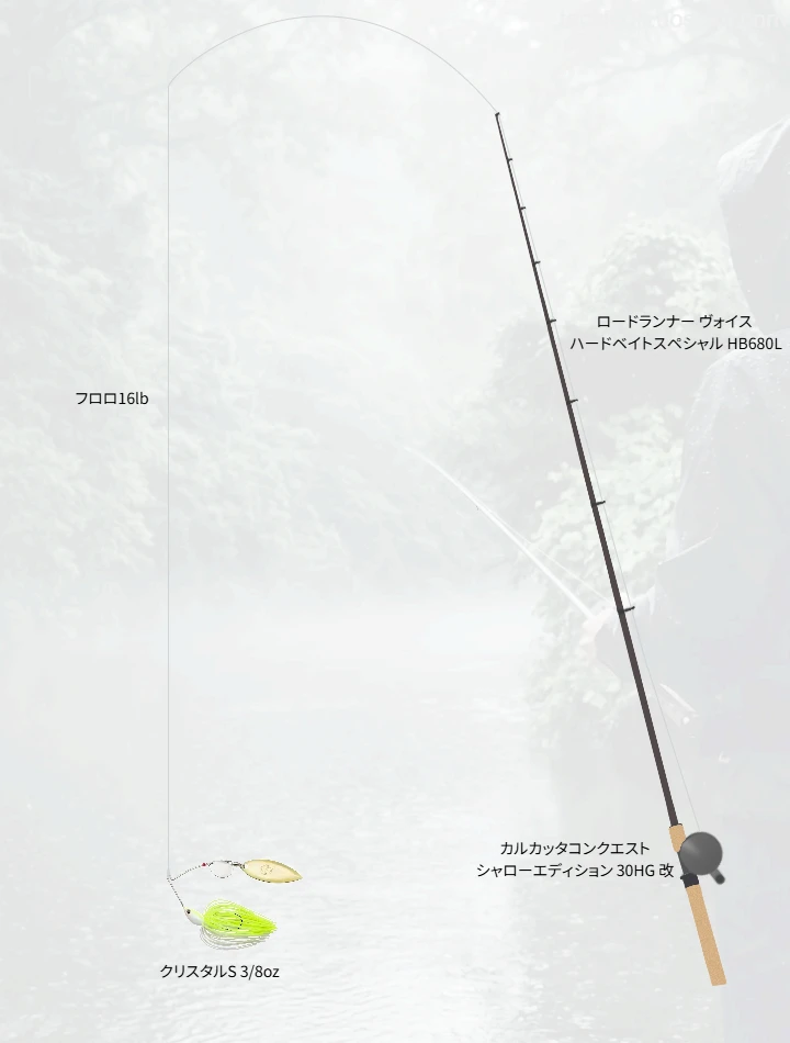バス釣りに関するタックル、仕掛け図解