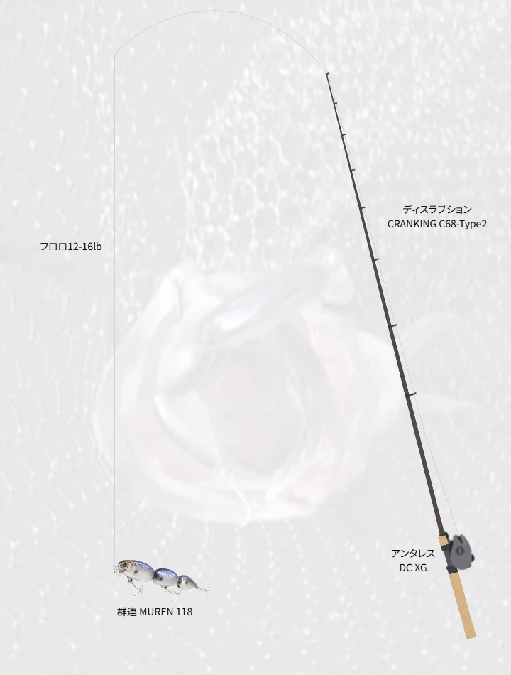 バス釣りに関するタックル、仕掛け図解