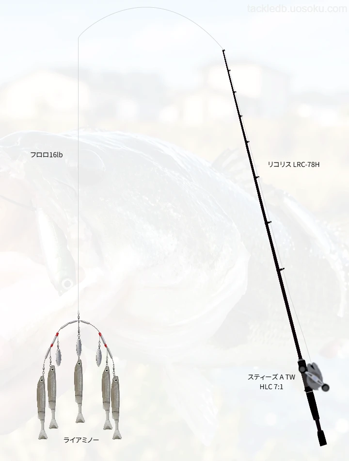 バス釣りに関するタックル、仕掛け図解