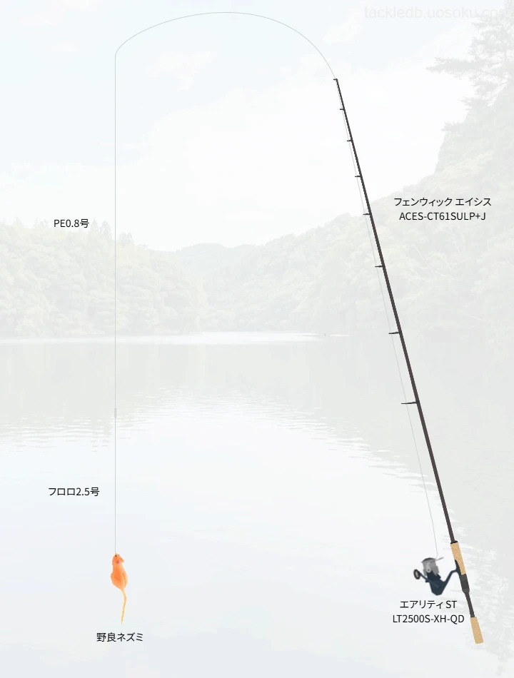バス釣りに関するタックル、仕掛け図解