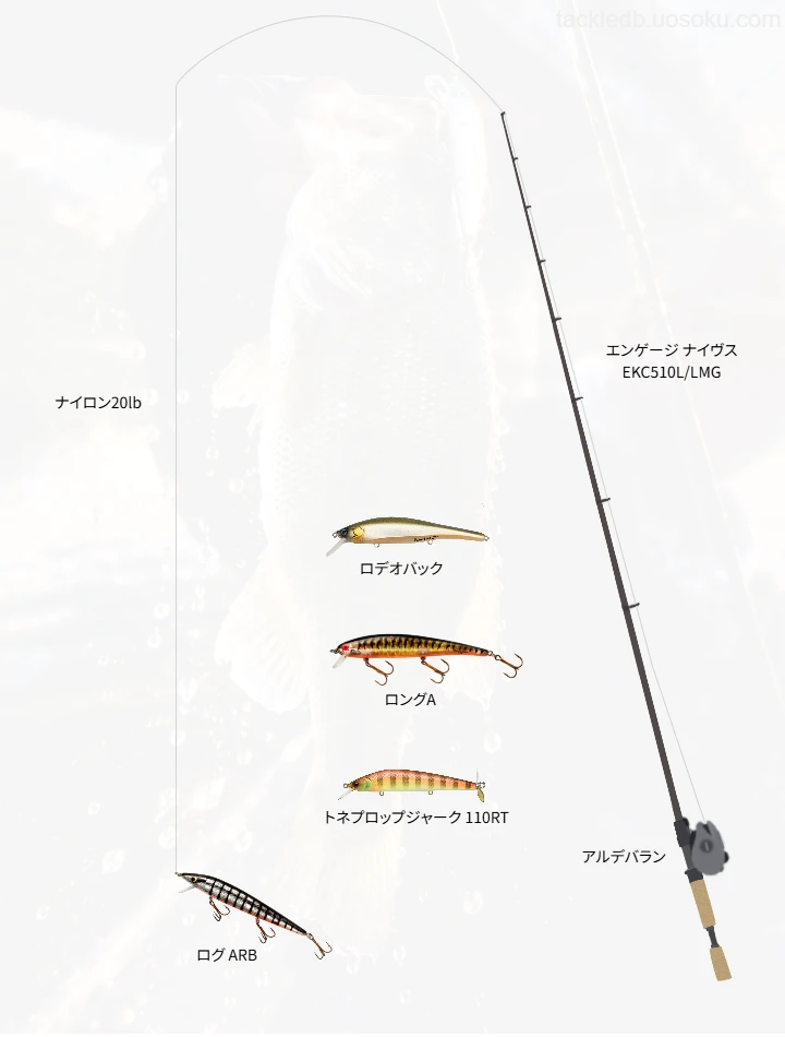 バス釣りに関するタックル、仕掛け図解