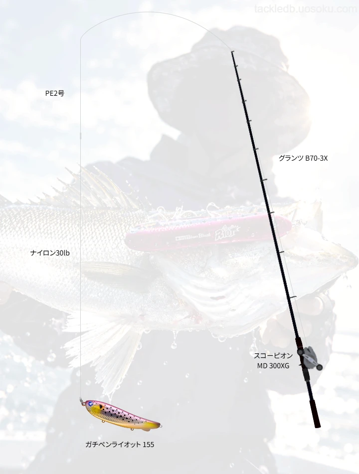 ボートシーバスに関するタックル、仕掛け図解