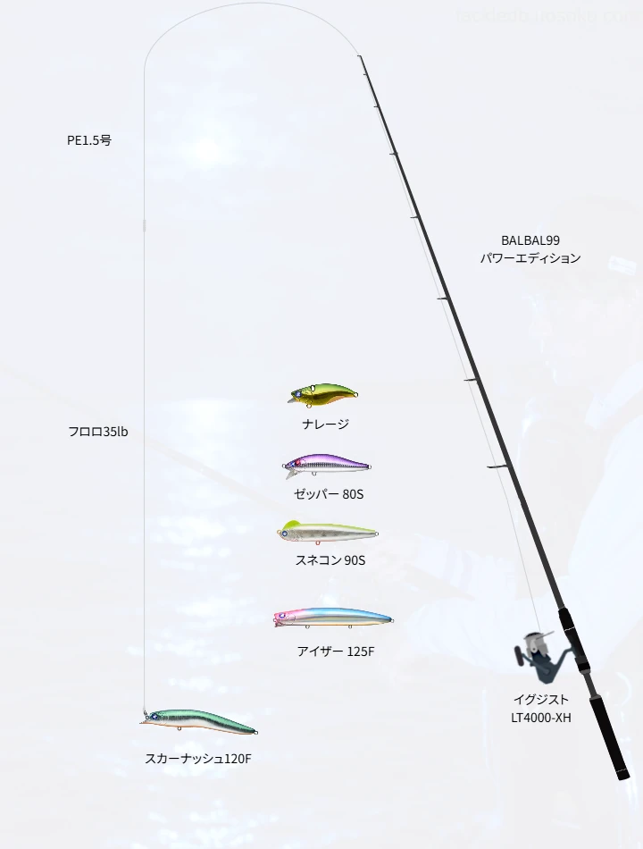ショアシーバスに関するタックル、仕掛け図解