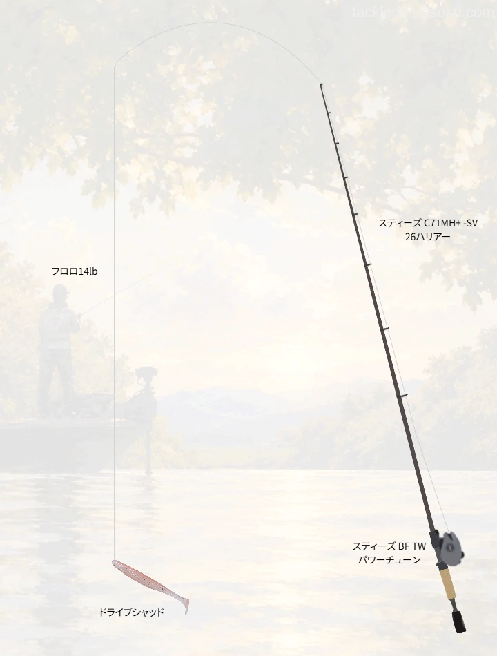 バス釣りに関するタックル、仕掛け図解