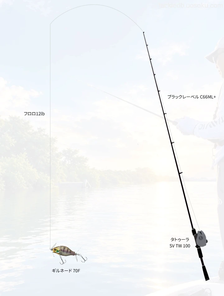 バス釣りに関するタックル、仕掛け図解