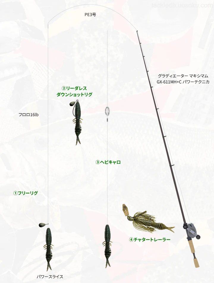 バス釣りに関するタックル、仕掛け図解