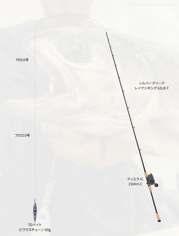 ネイティブトラウトに関するタックル、仕掛け図解