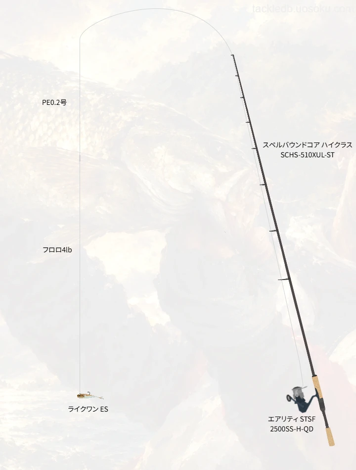 バス釣りに関するタックル、仕掛け図解