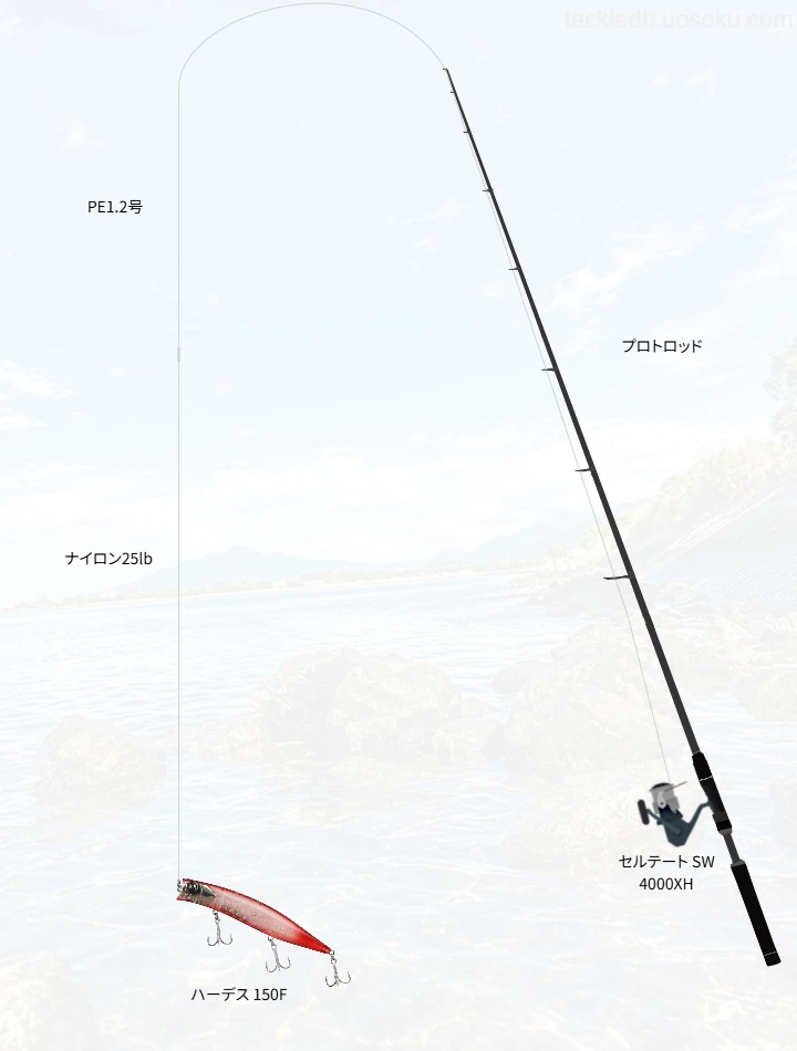 ショアシーバスに関するタックル、仕掛け図解