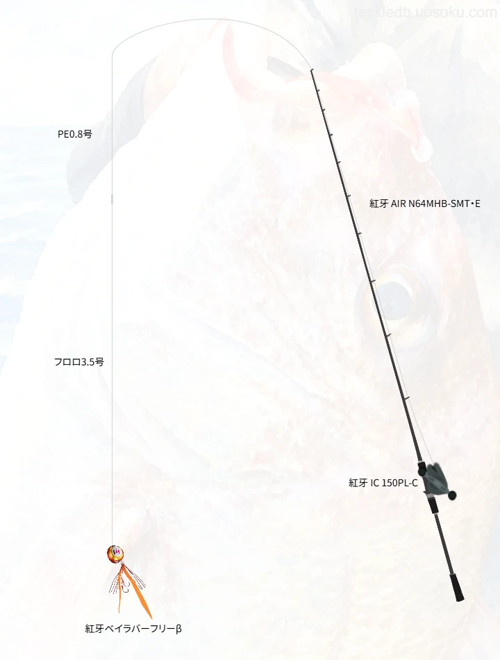 タイラバに関するタックル、仕掛け図解